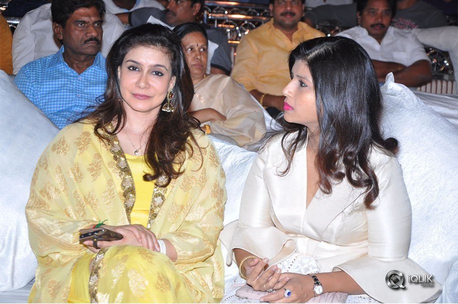 Chal-Mohan-Ranga-Pre-Release-Function-Photos